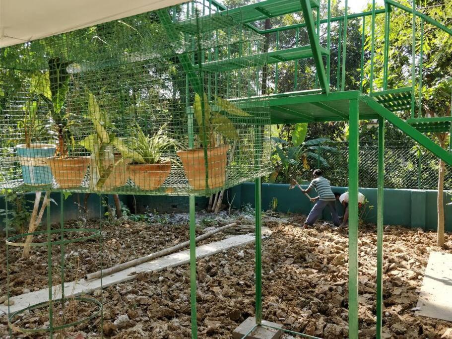 Bhitey Homestay Simantapally / Shantiniketan Exterior foto